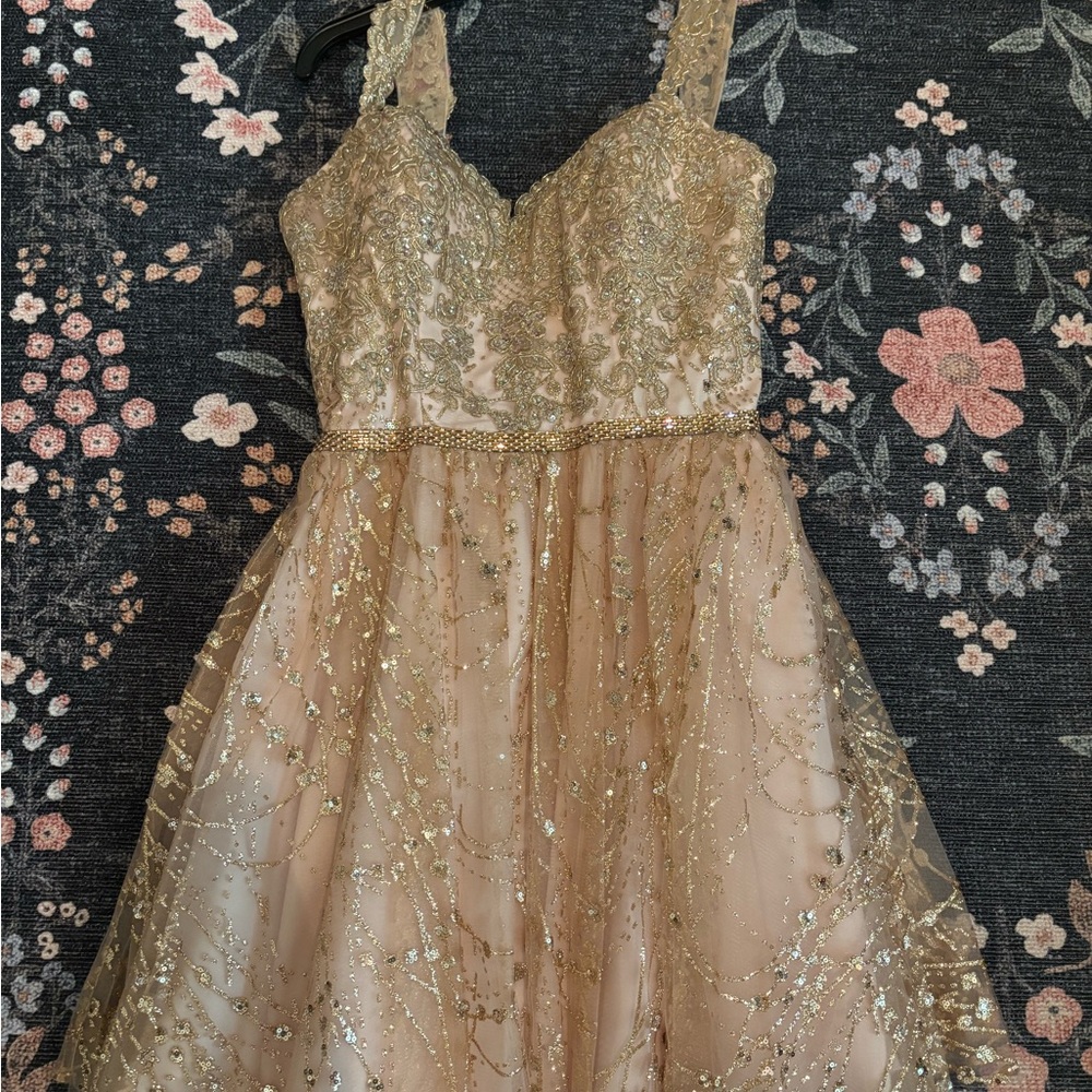 Elegant Gold/Pink Hoco Dress